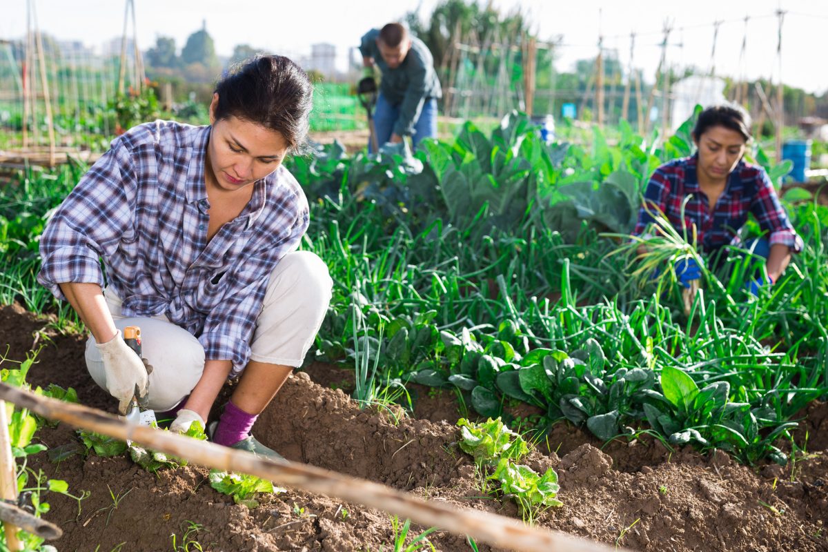 How to Calculate Your Farm Value