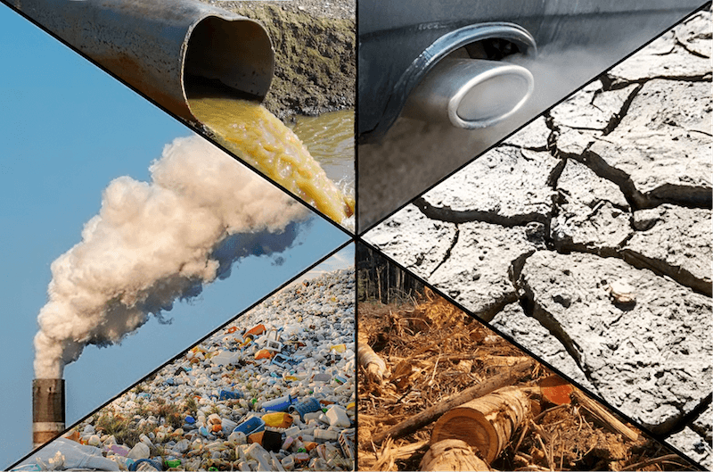 Top 10 Types of Environmental Hotspots You Need to Know About