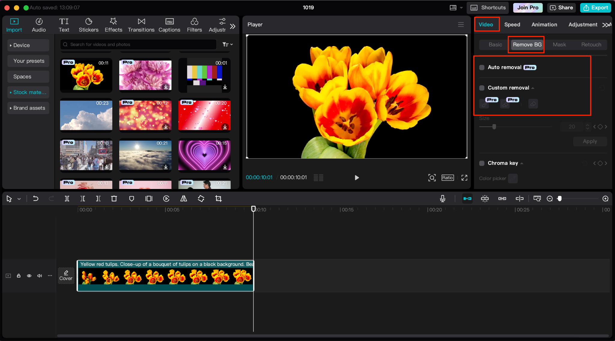 Remove the Background