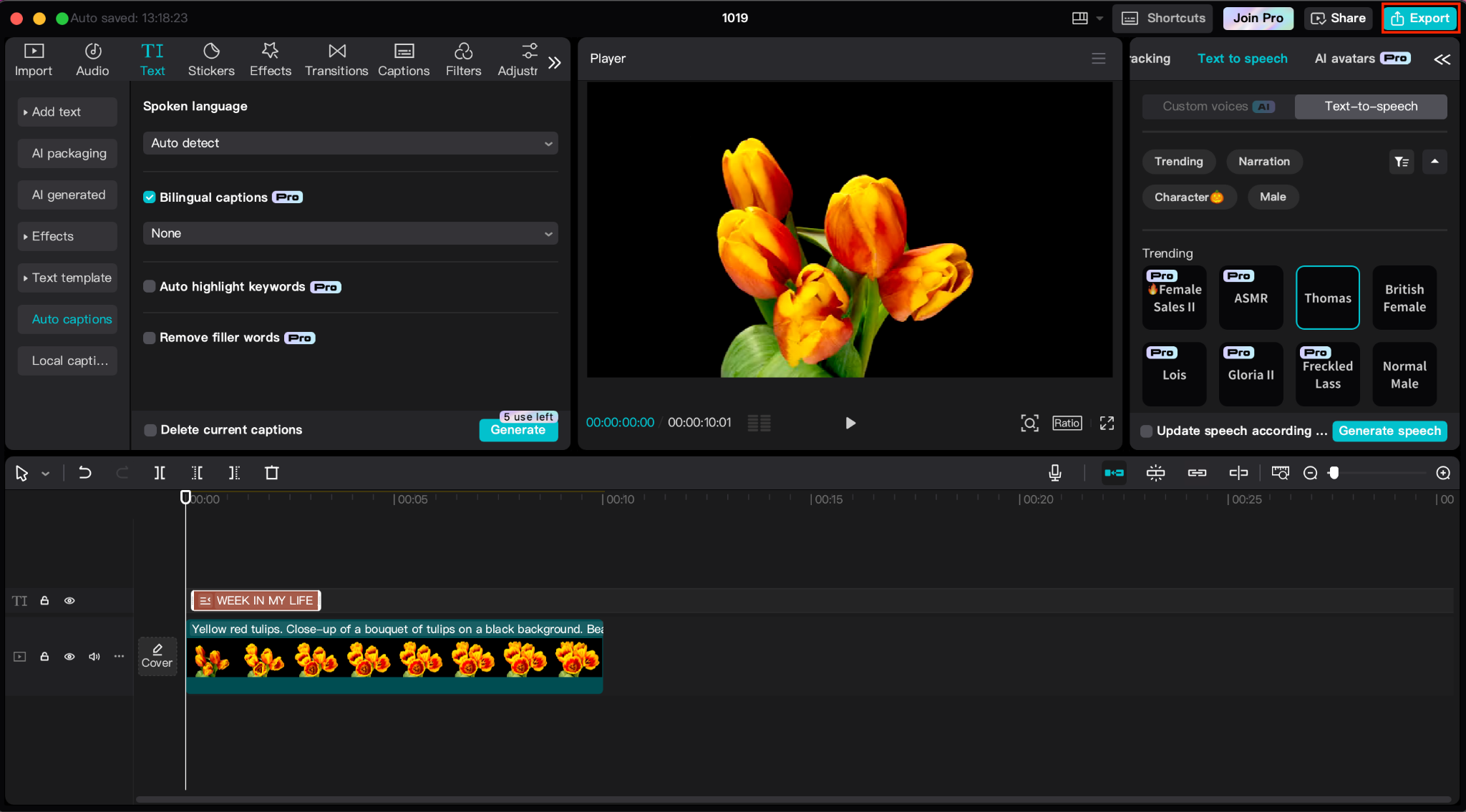 Sync the Audio and Finalize